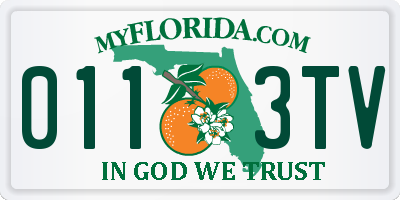 FL license plate 0113TV