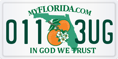 FL license plate 0113UG