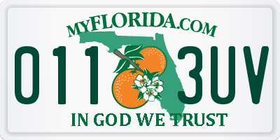 FL license plate 0113UV