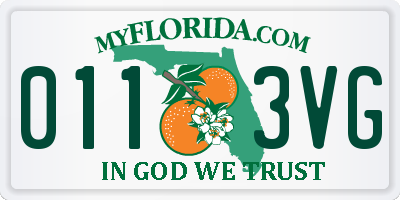 FL license plate 0113VG