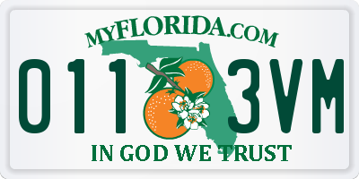 FL license plate 0113VM