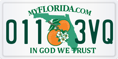 FL license plate 0113VQ