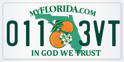 FL license plate 0113VT