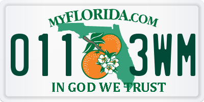 FL license plate 0113WM