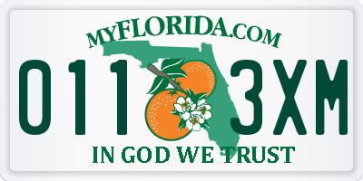 FL license plate 0113XM