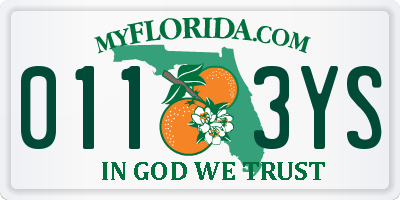 FL license plate 0113YS
