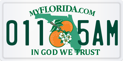 FL license plate 0115AM