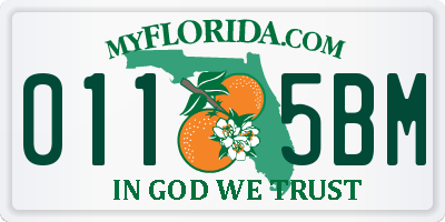 FL license plate 0115BM