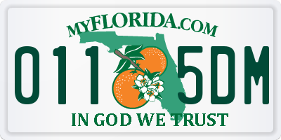 FL license plate 0115DM