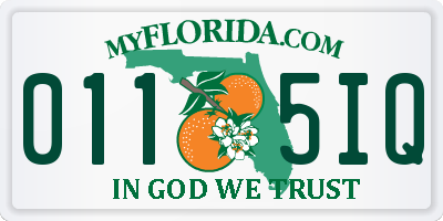 FL license plate 0115IQ
