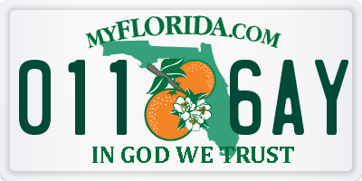 FL license plate 0116AY