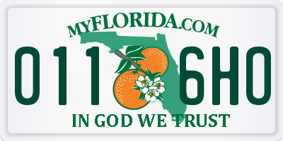 FL license plate 0116HO