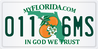 FL license plate 0116MS