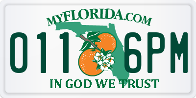 FL license plate 0116PM