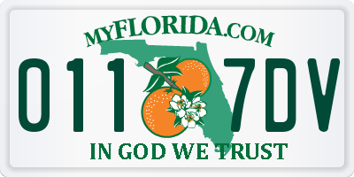 FL license plate 0117DV