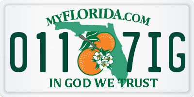FL license plate 0117IG