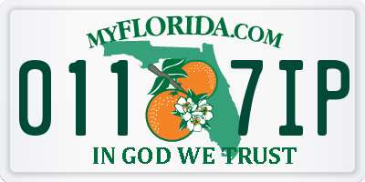 FL license plate 0117IP