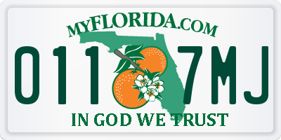 FL license plate 0117MJ