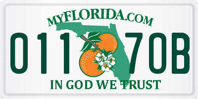 FL license plate 0117OB