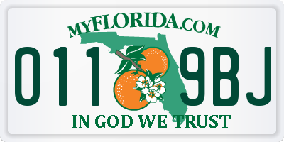 FL license plate 0119BJ