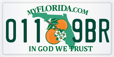 FL license plate 0119BR