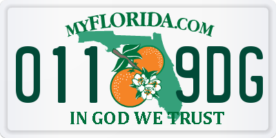 FL license plate 0119DG