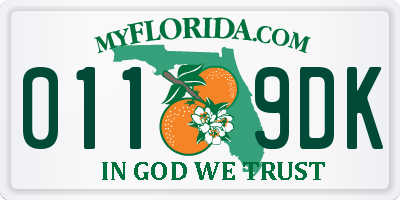FL license plate 0119DK
