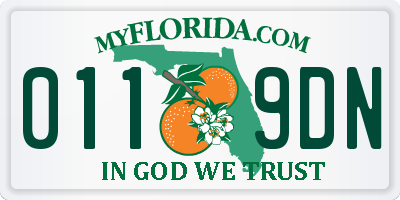 FL license plate 0119DN