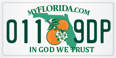 FL license plate 0119DP