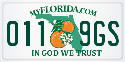 FL license plate 0119GS