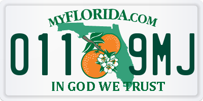 FL license plate 0119MJ