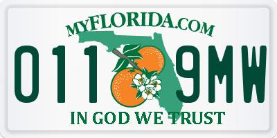 FL license plate 0119MW