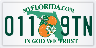 FL license plate 0119TN