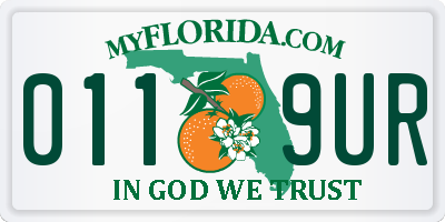 FL license plate 0119UR