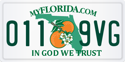 FL license plate 0119VG