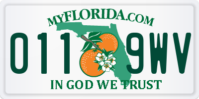 FL license plate 0119WV