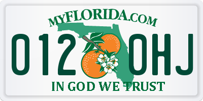 FL license plate 0120HJ