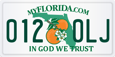 FL license plate 0120LJ