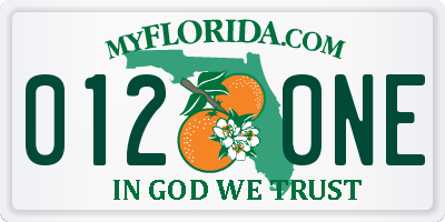 FL license plate 0120NE