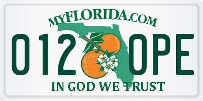 FL license plate 0120PE