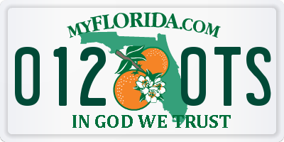 FL license plate 0120TS