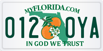 FL license plate 0120YA
