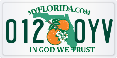 FL license plate 0120YV