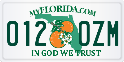 FL license plate 0120ZM