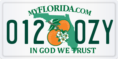 FL license plate 0120ZY