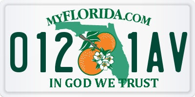 FL license plate 0121AV