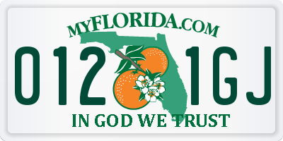 FL license plate 0121GJ
