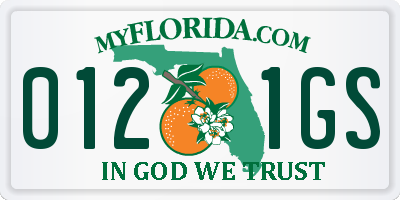 FL license plate 0121GS