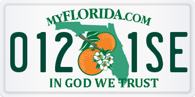 FL license plate 0121SE