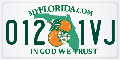 FL license plate 0121VJ